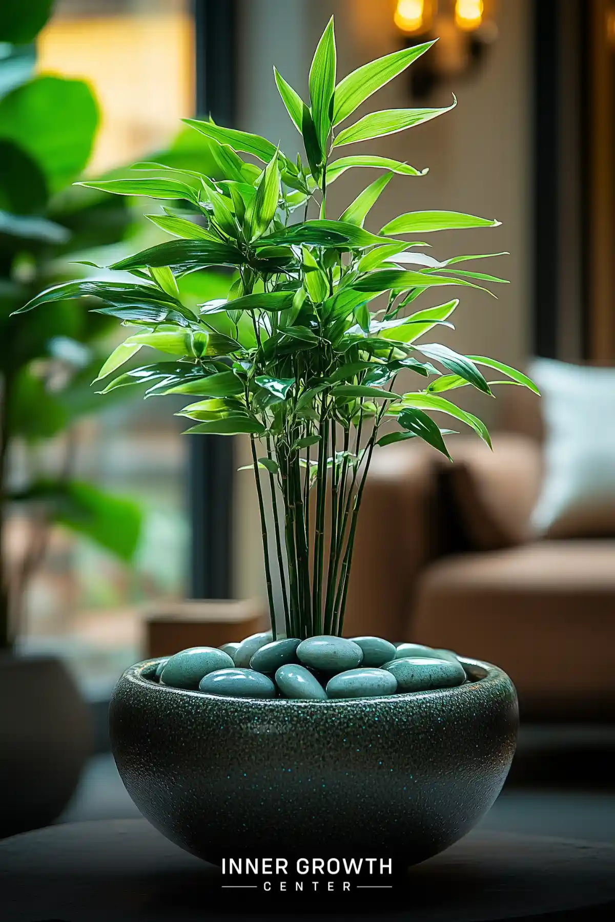 A thriving bamboo plant grows from a black ceramic bowl filled with turquoise stones, creating a serene meditation centerpiece