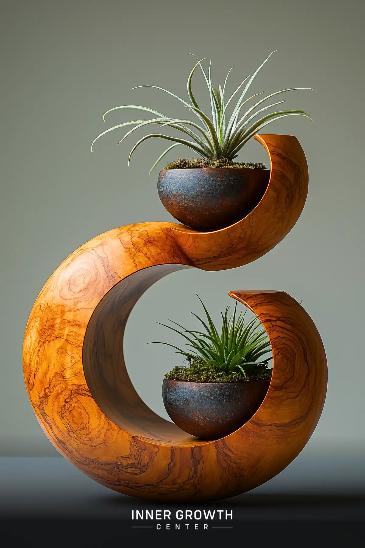 Curved wooden sculpture holding two air plants in metal bowls